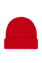 Load image into Gallery viewer, Beanie with Ted Logo
